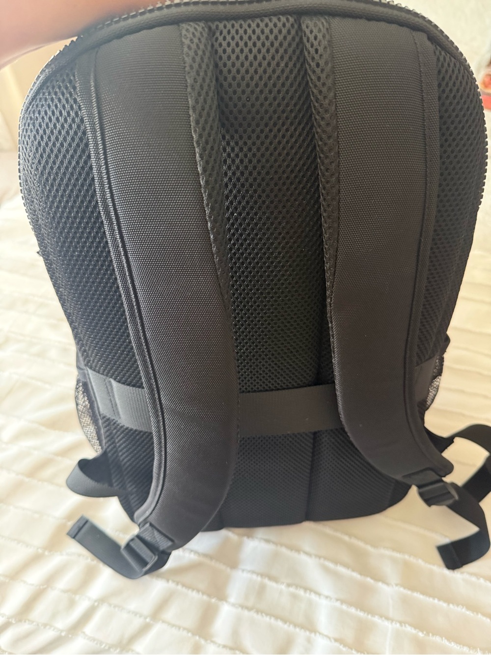Backpack - Picture 2 of 6
